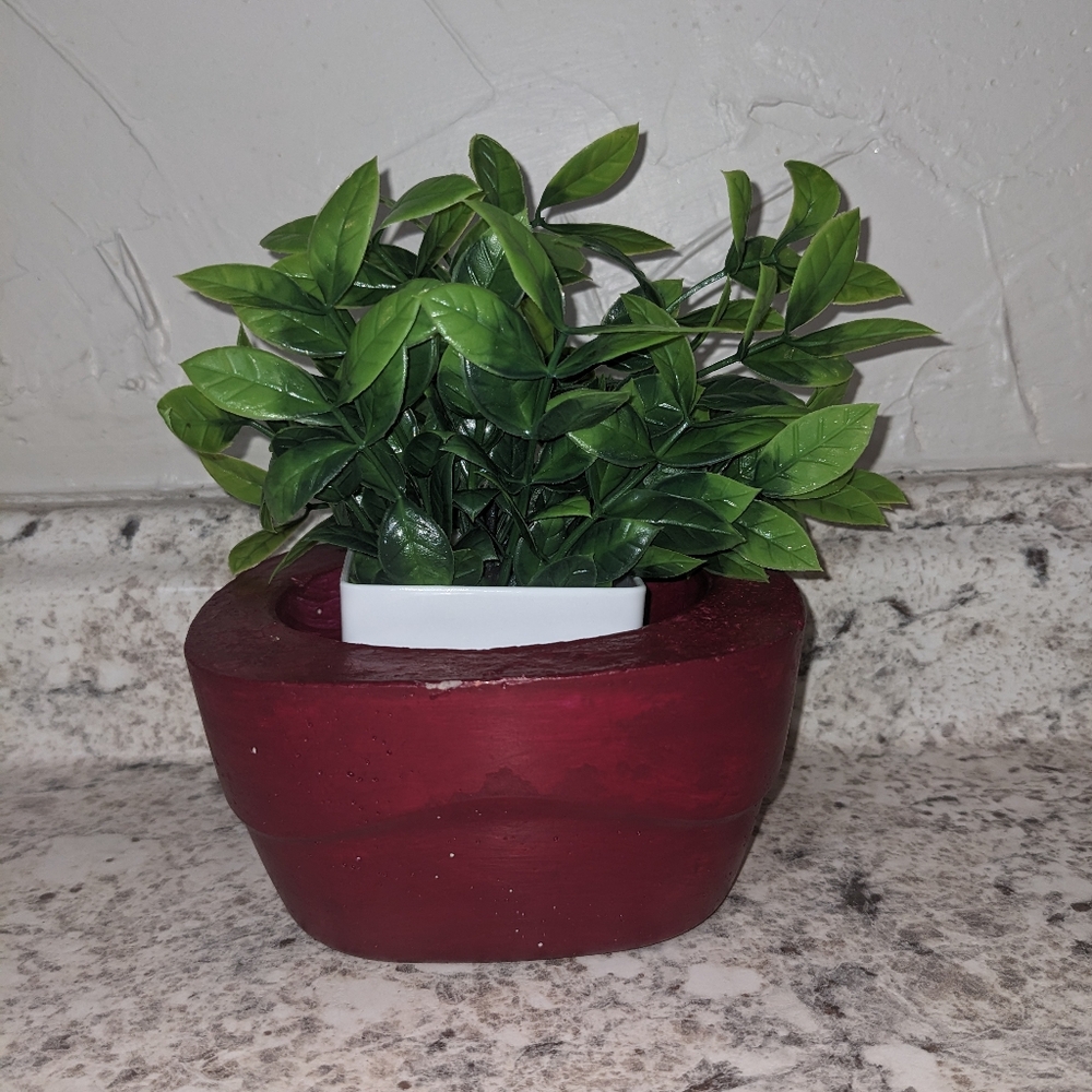 Cement Planter